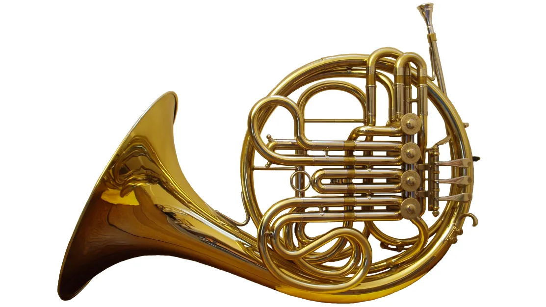 kv5grd0ix7rhpyga4j6vz9drm frenchhornfront