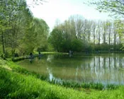 kxlj768k6jhzvhqzdj8n1ip6q 233269