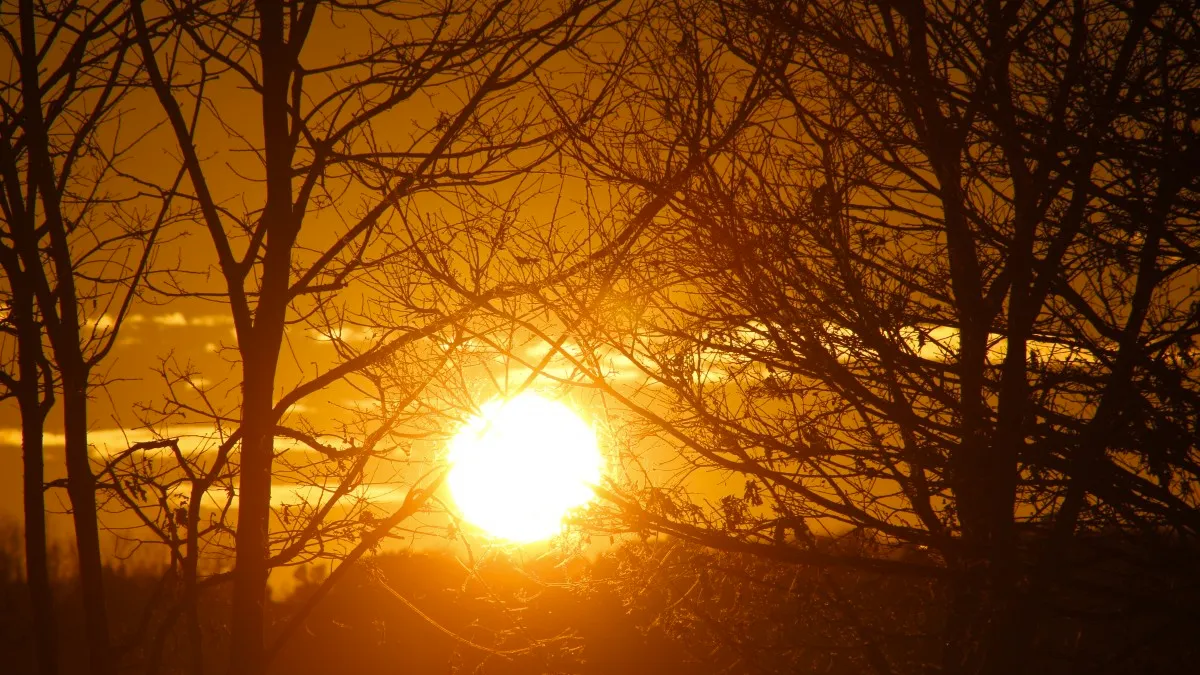 laagstaande zon cc0 pxhere