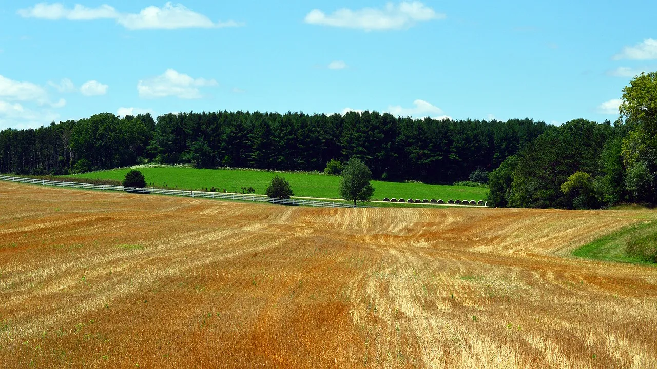 landbouwgrond foto quinn kampschroer cc0 pixabayfarmland 1556085 1280