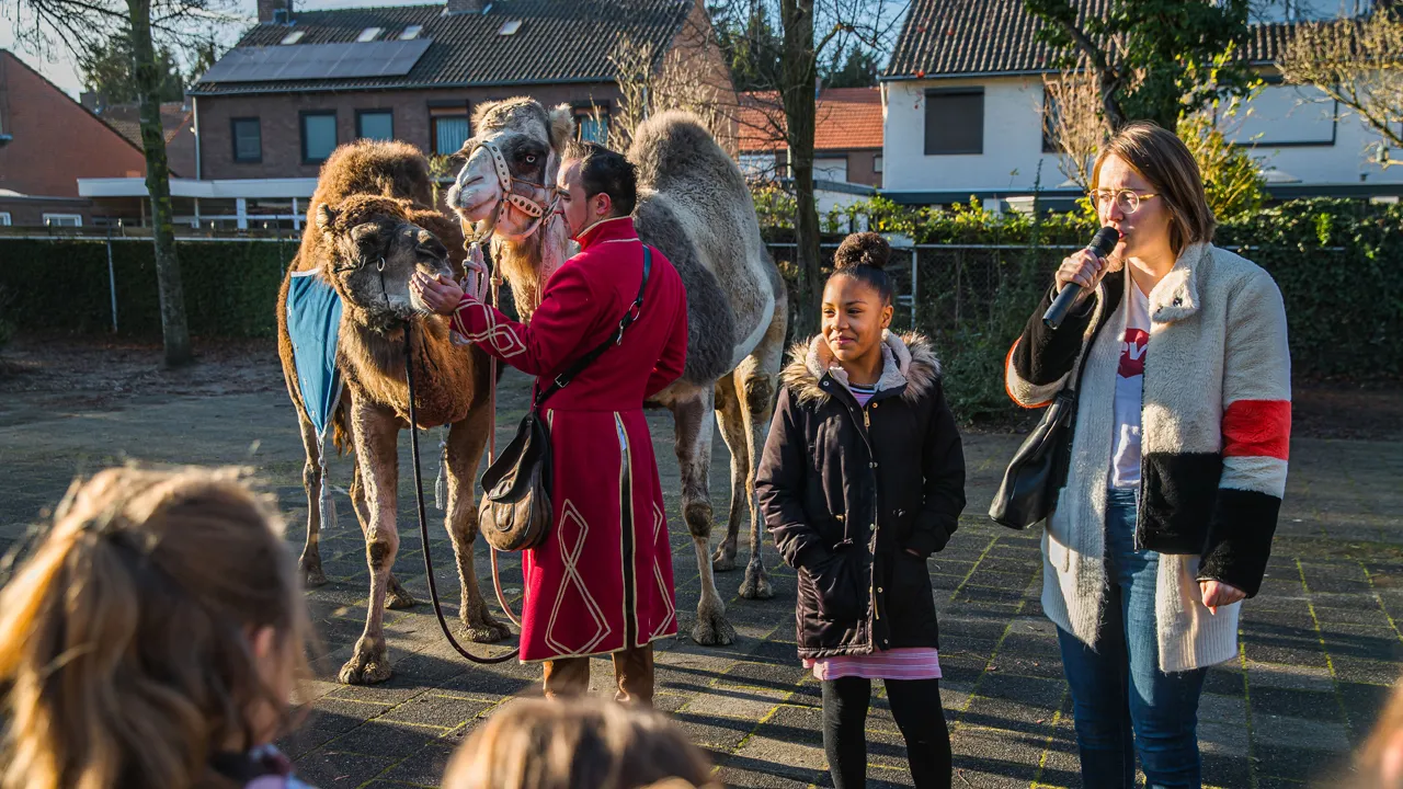 lavinia mbesa voor de dromedarissen van jan clements