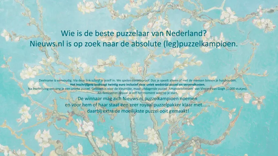 legpuzzelkampioen gezocht