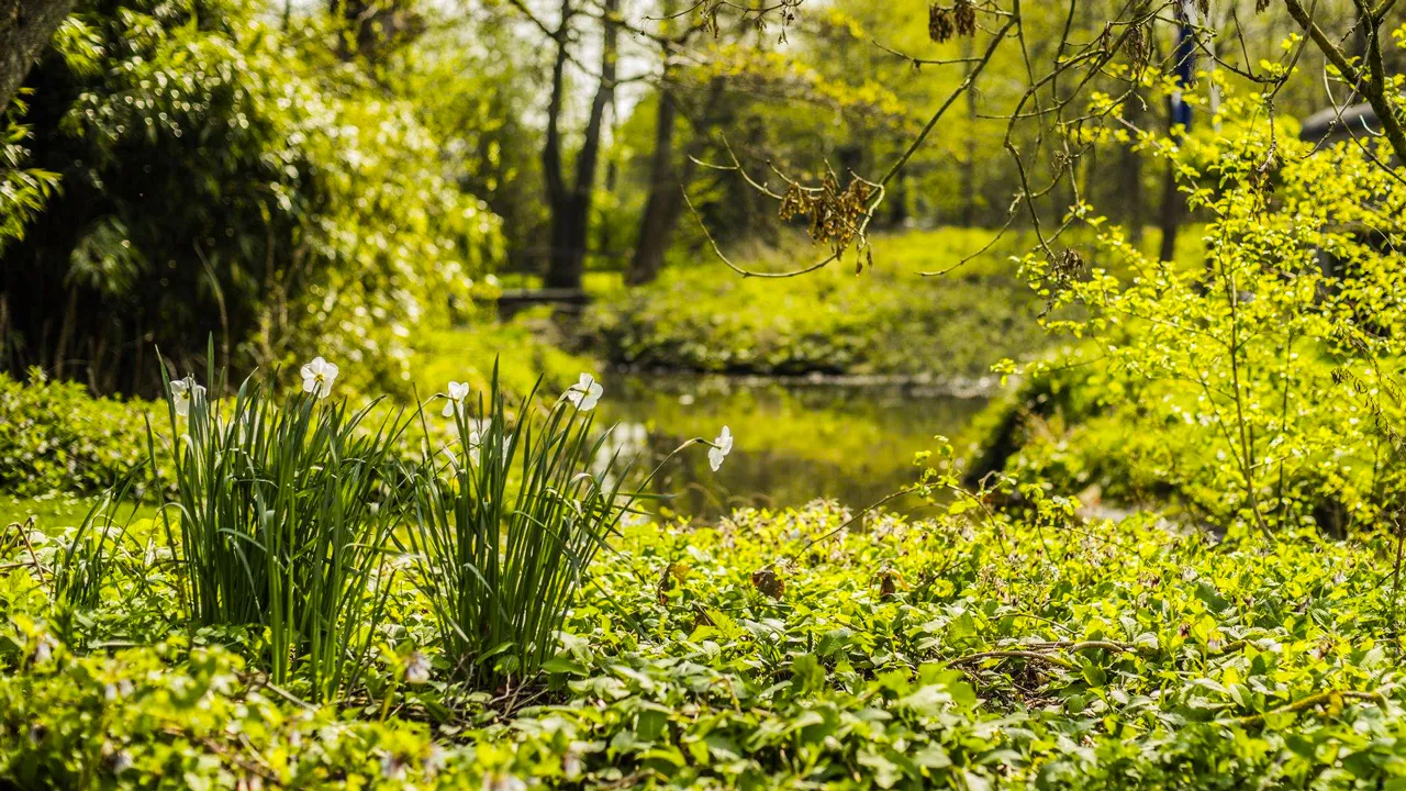 lente 2019 annet wagener