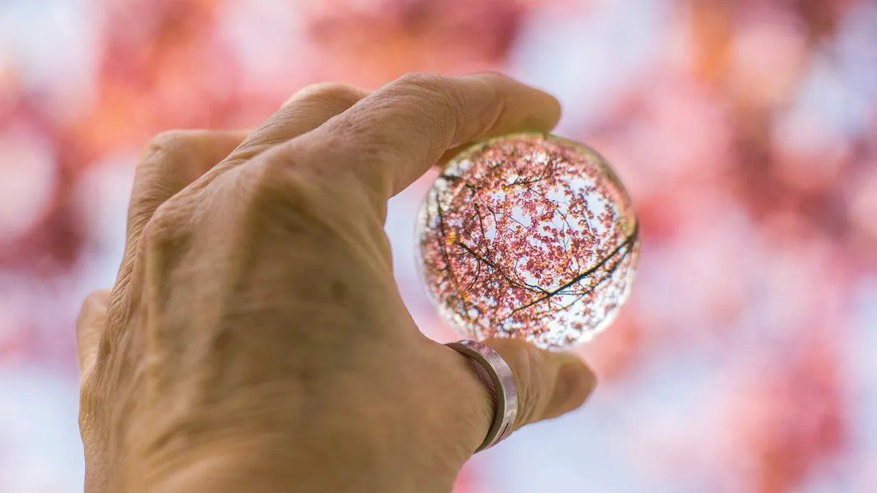 lente in het park 2019 1