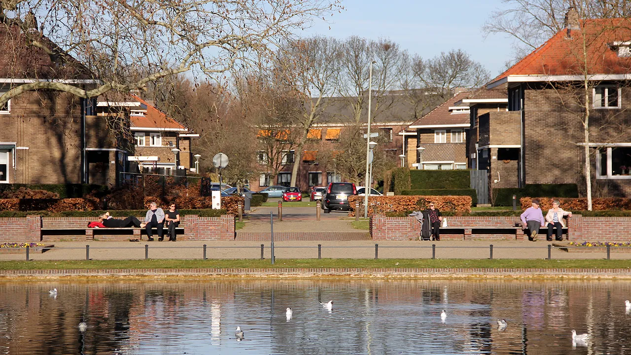 lentezonnetje in februari 2019