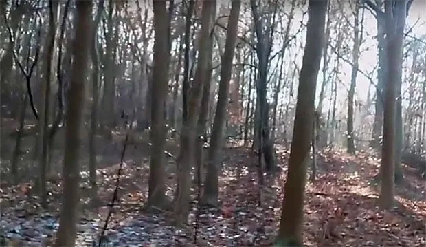 lexhy stadspartij