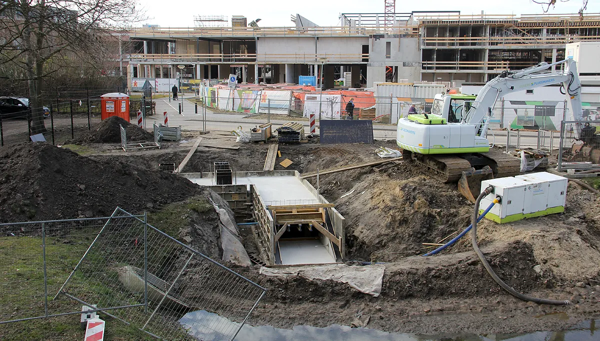 ligne vleermuizen hangplek 2