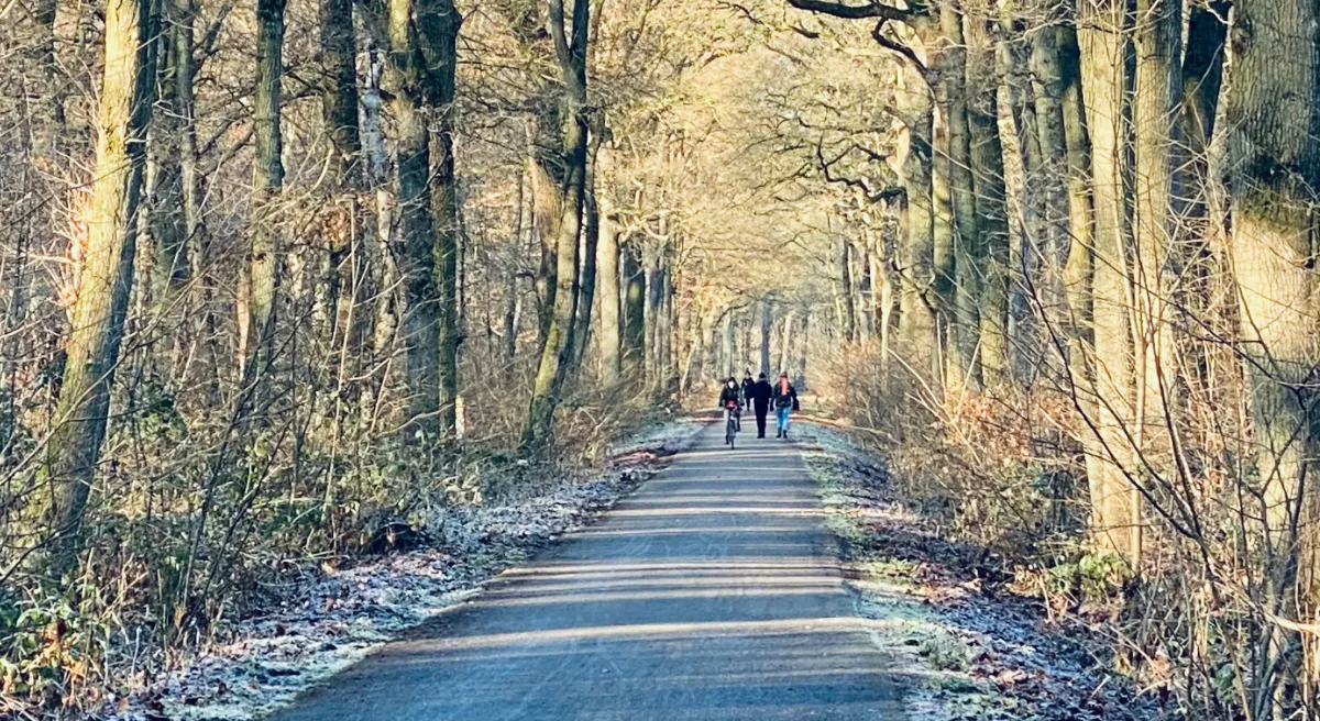limbrichterbos 20211221