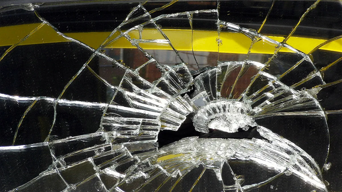 liz sullivan cc by sa 40 via wikimedia commons vandalisme autospiegel