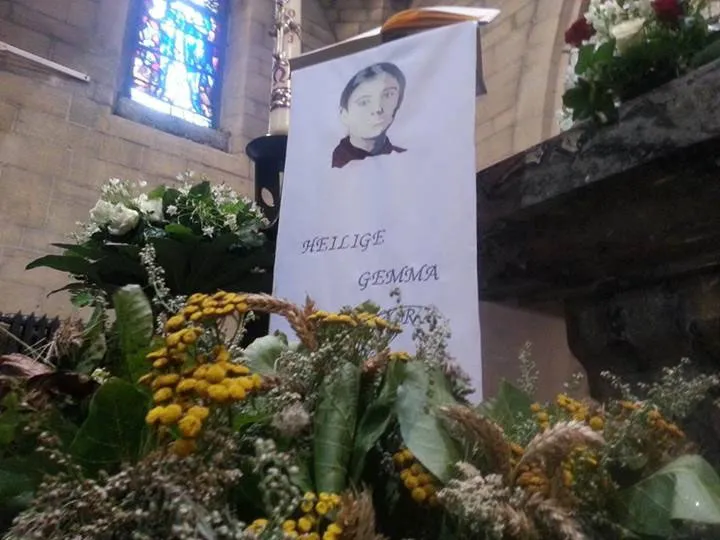 ln6fj9v1ps8uftyje3m91m1xc kroedwosj gemma