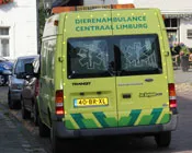 lw91ry9yd1an97tig5ez4gtd3 74469