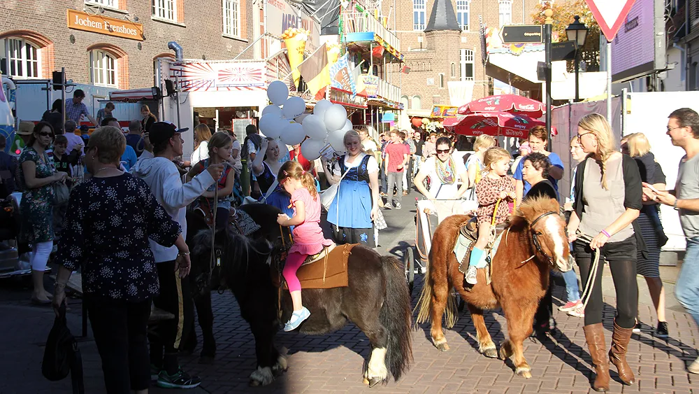 lz63z1o69enftmaset2hcq1nc kermis ponys