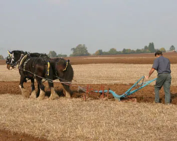 m5jyuolejgy2l3jcofp5aql54 168816