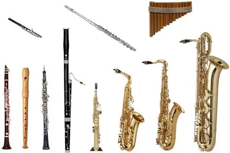 m8p7hjenmhro16dqqj2uj9zrv 191919