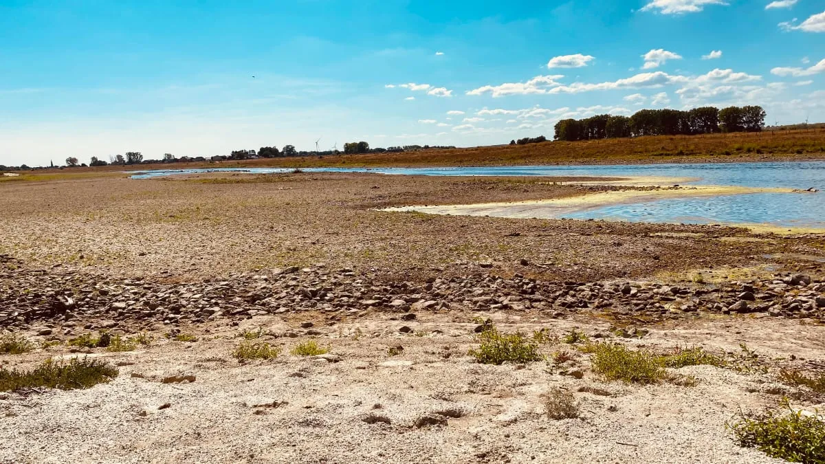 maas bij grevenbicht 8 augustus 2022 droogte