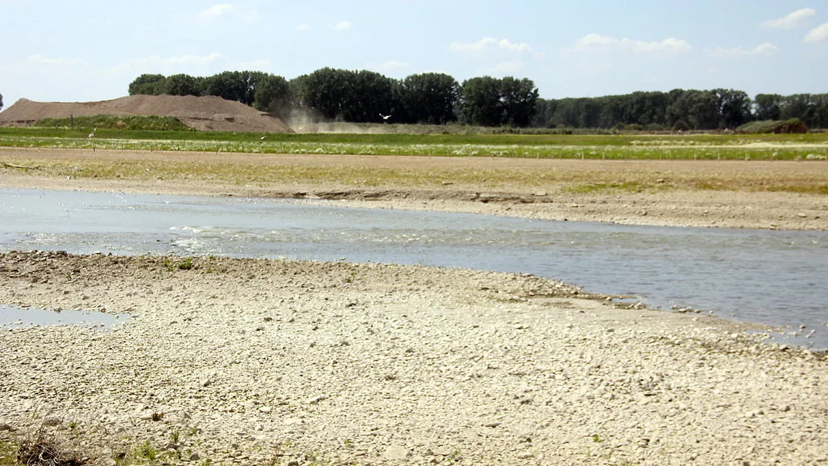 maas bij grevenbicht tijdens een droge zomer