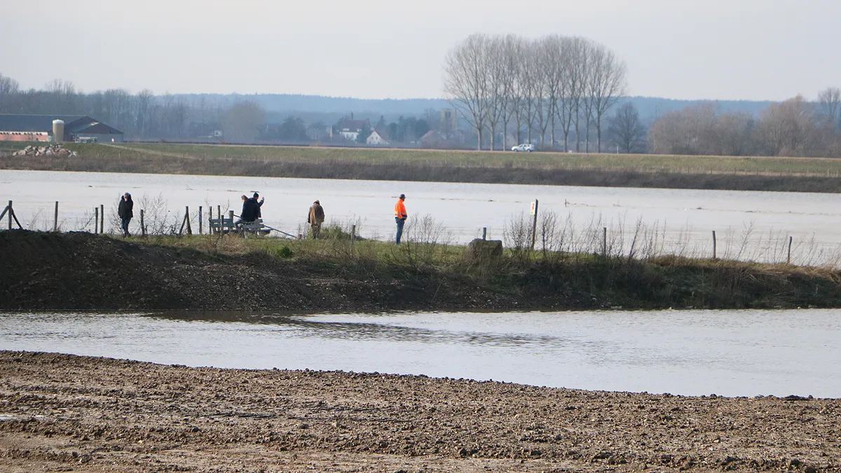 maas bij grevenbicht zondag 31 januari 2021