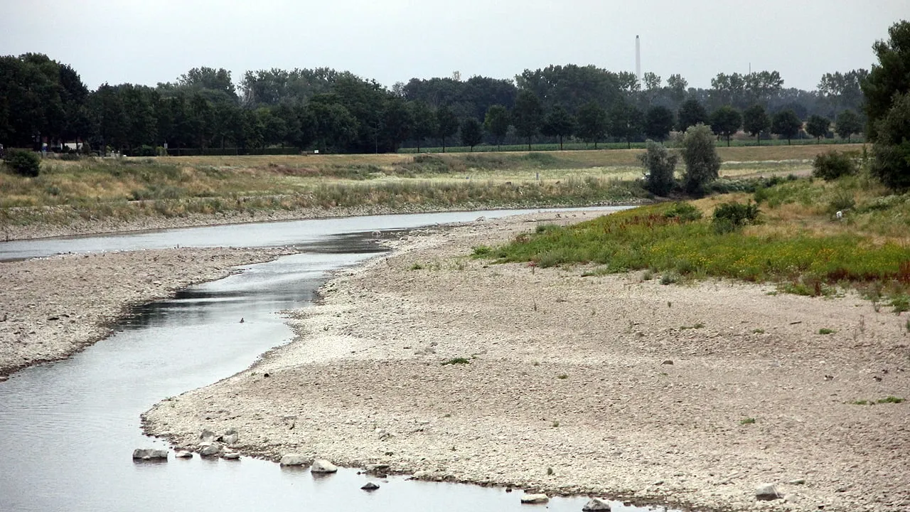 maas bij obbicht 15 juli 2019