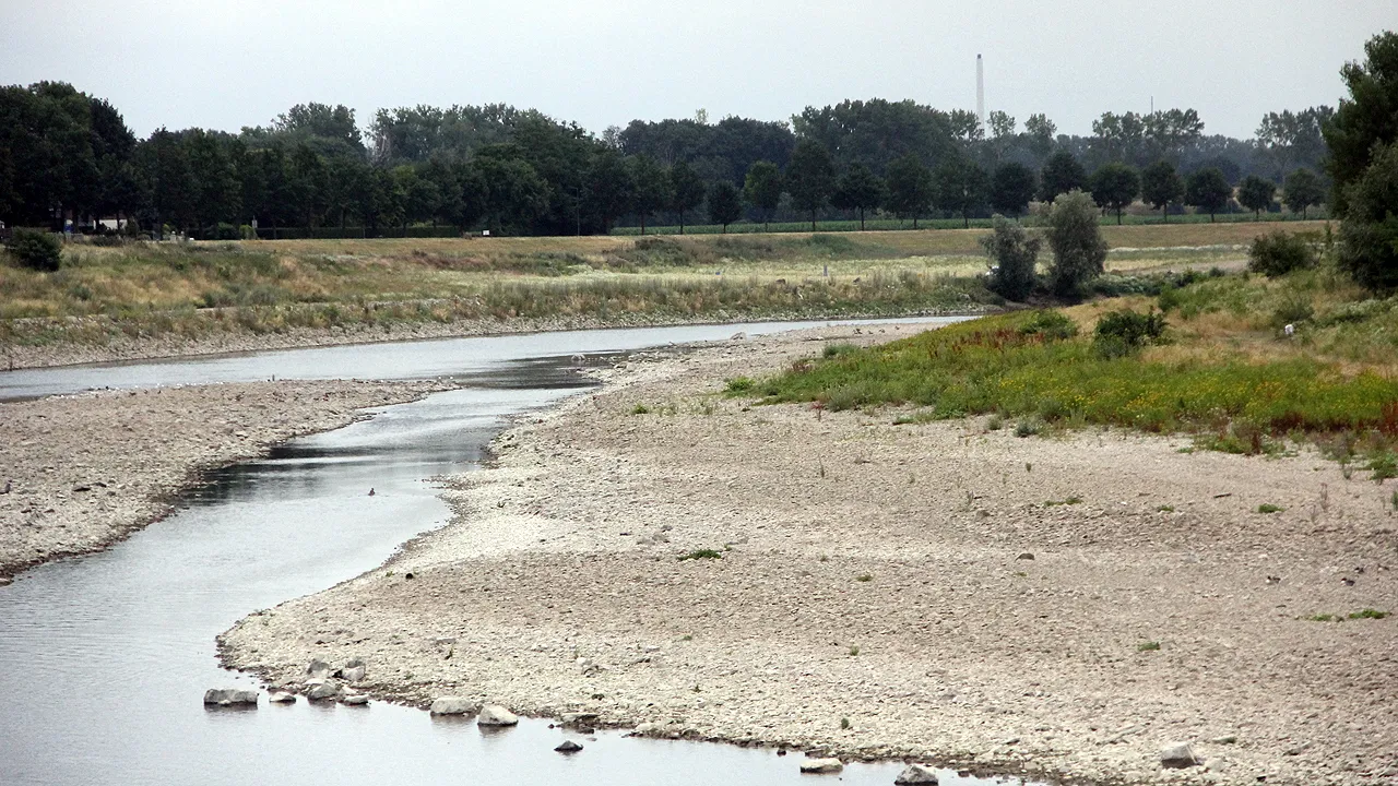 maas bij obbicht 15 juli 2019