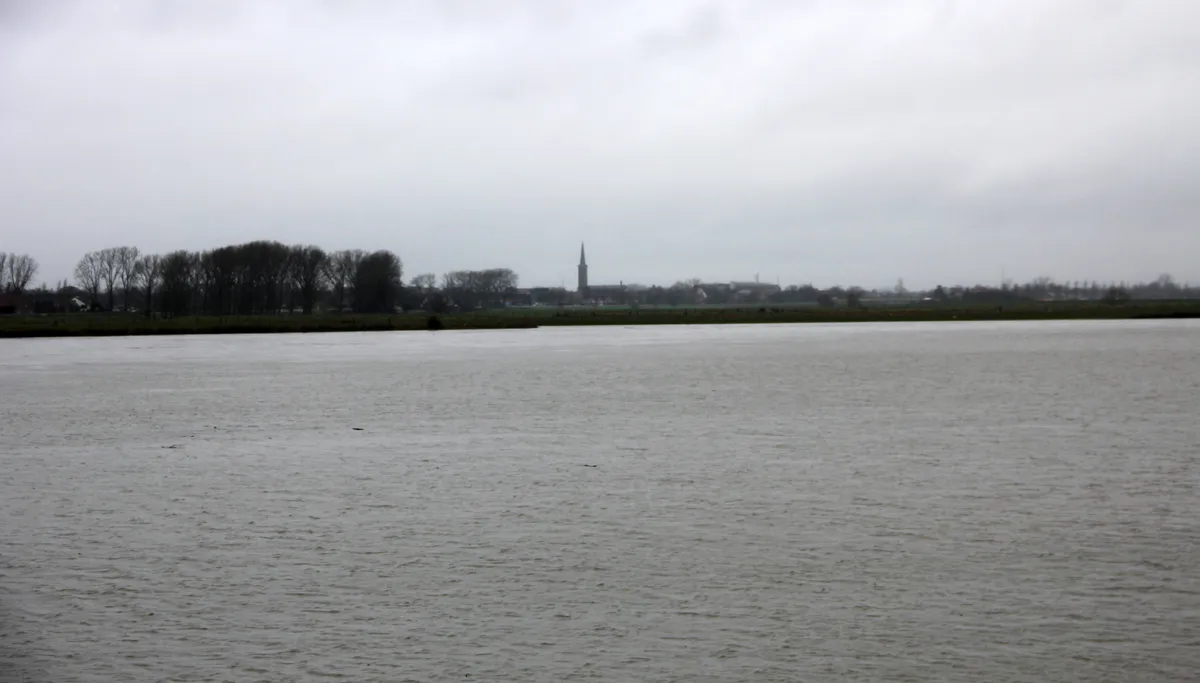 maas bij visserweert met zich op kerktoren maaseik januari 2017