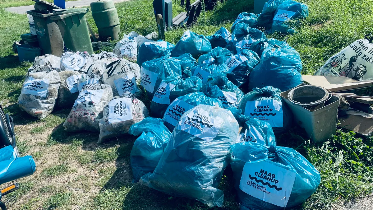 maas cleanup deel oogst bij dijk illikhoven