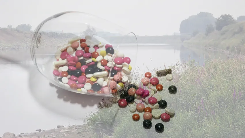 maas grevenbicht 1 16 9 medicijnresten microvervuiling