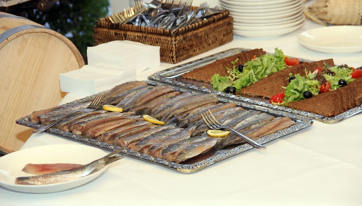 maatjestref 2015 maatjes