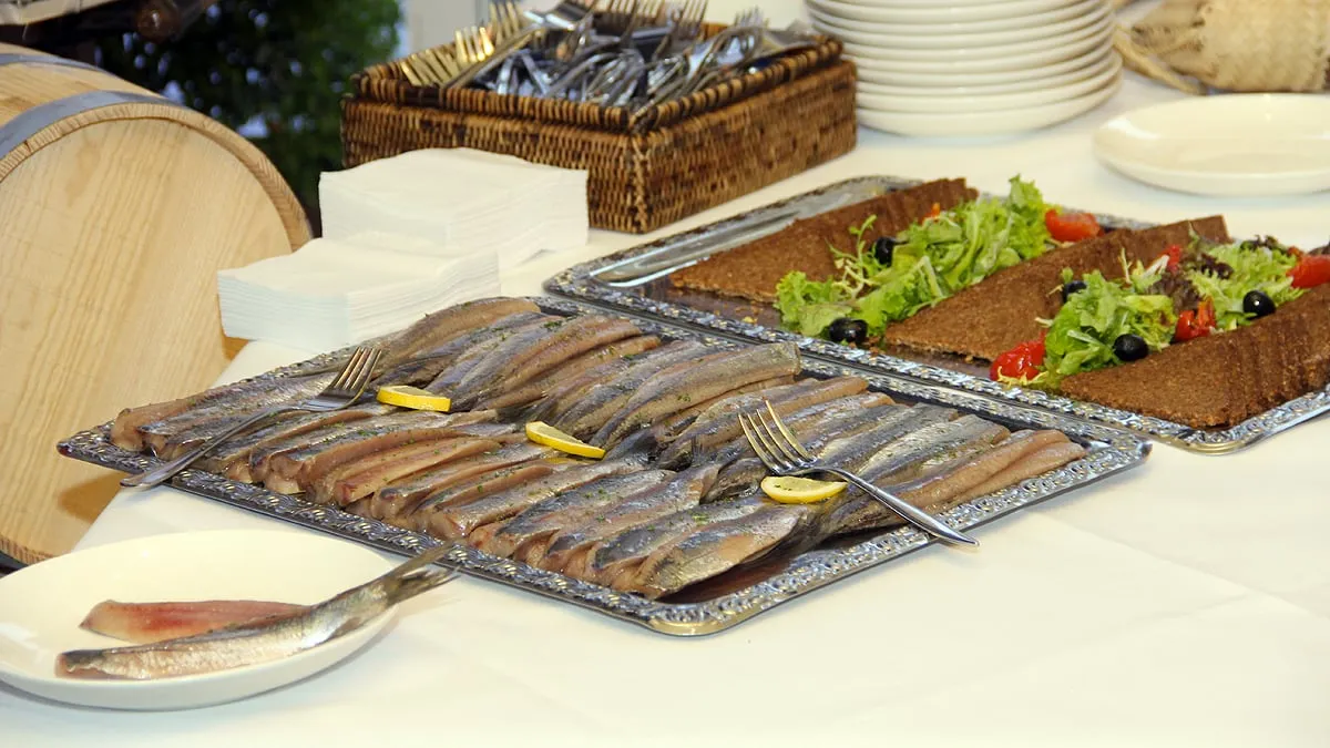 maatjestref maatjes hollandse nieuwe