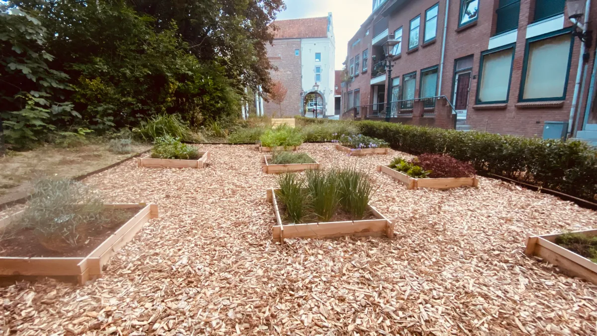 maatschappelijke moestuin