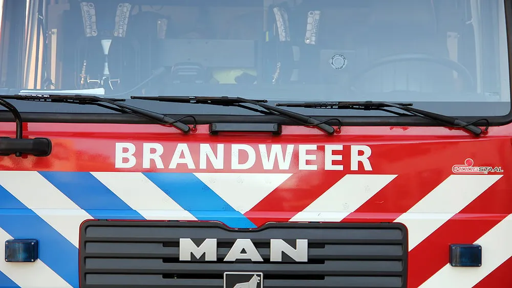 man bluswagen1