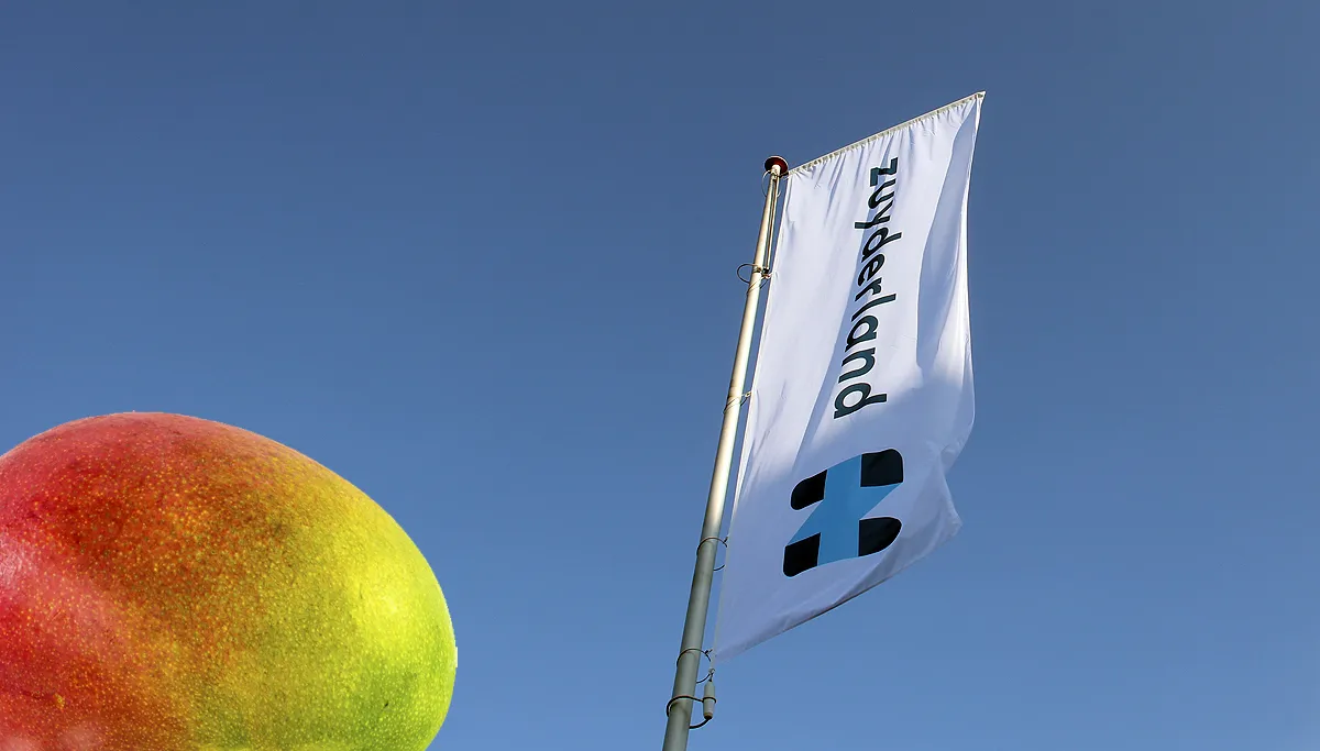 mangomoment zuyderland ziekenhuis