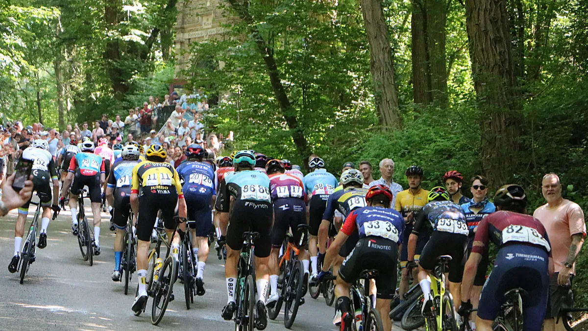 mannen profes kollenberg rosakapel