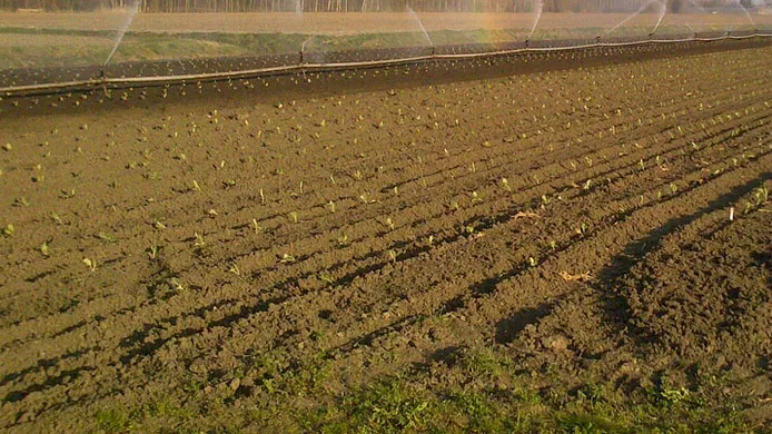 md2ov3jjatmioo5cmvbckv2mf beregenen