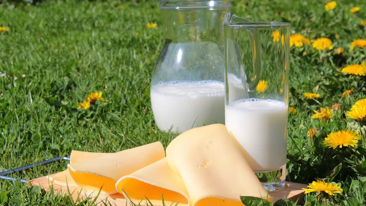 melk en kaas cc0 pixabay milk 1385548 1280