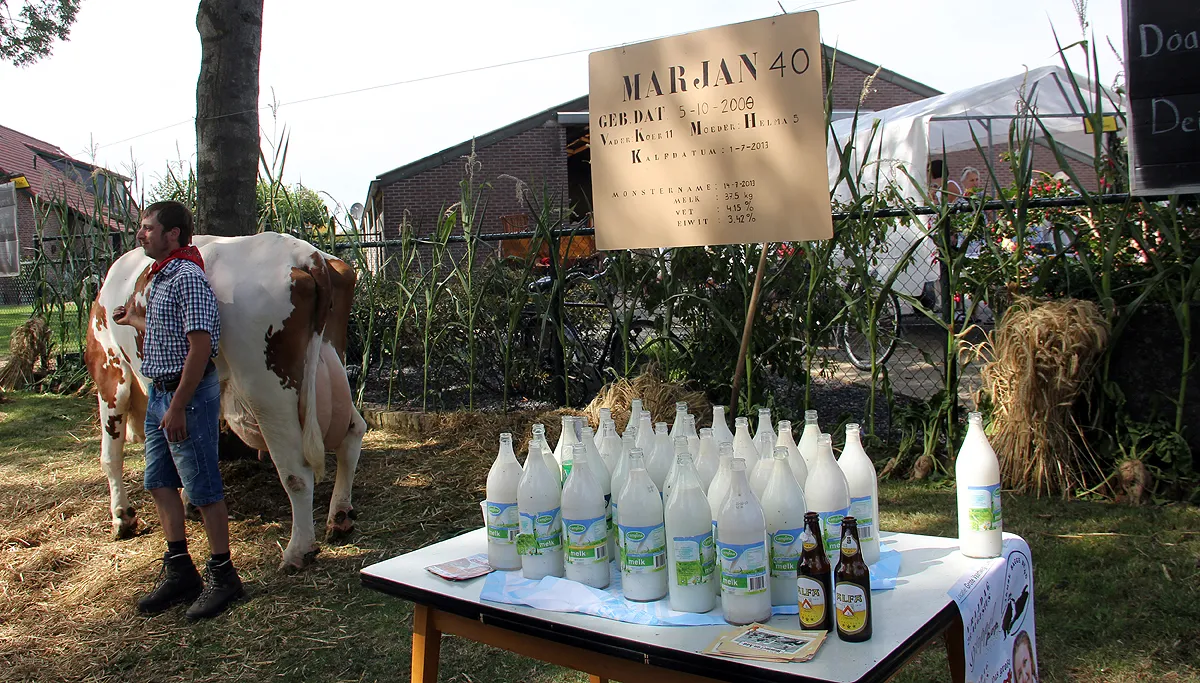 melk koe einighausen