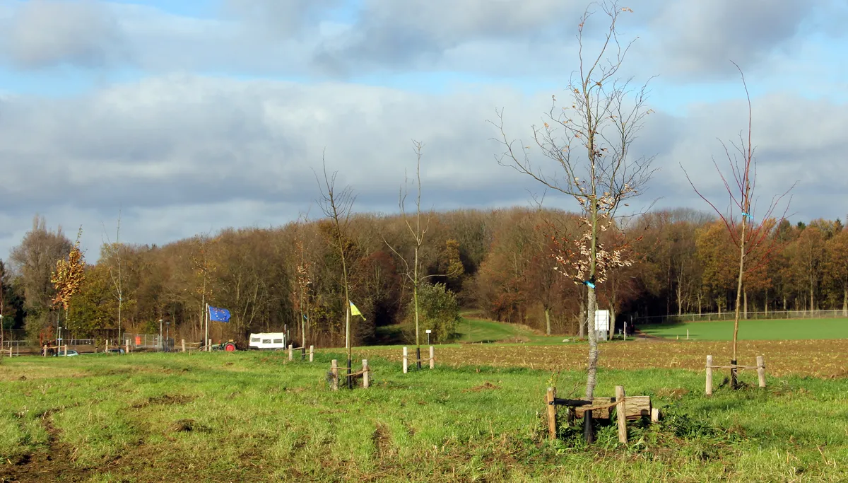 memoriebos 3 kollenberg 21 november 2015 2