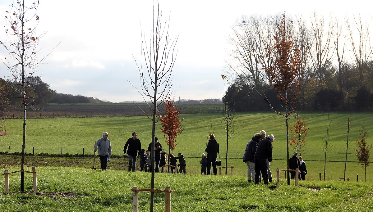 memoriebos 3 kollenberg 21 november 2015