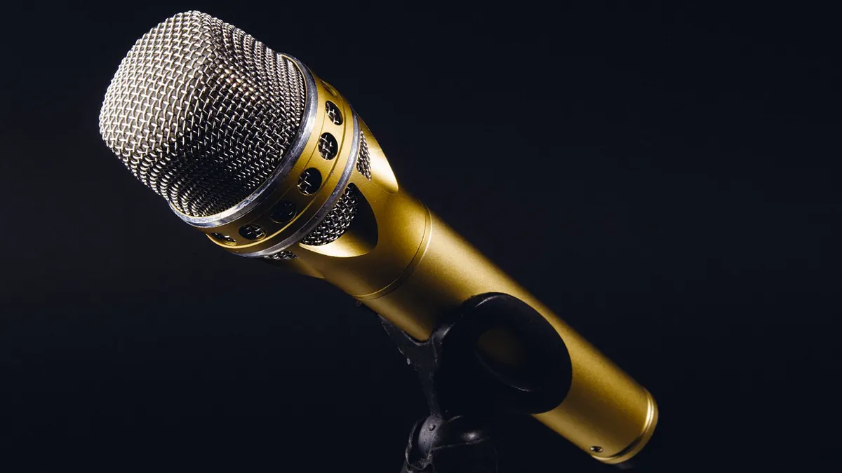 microfoon cc0 pixabay