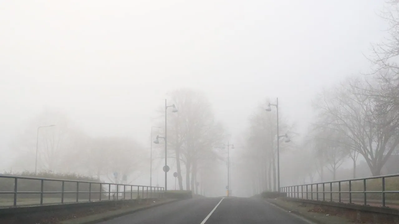 mist op nieuwjaarsdag 2020