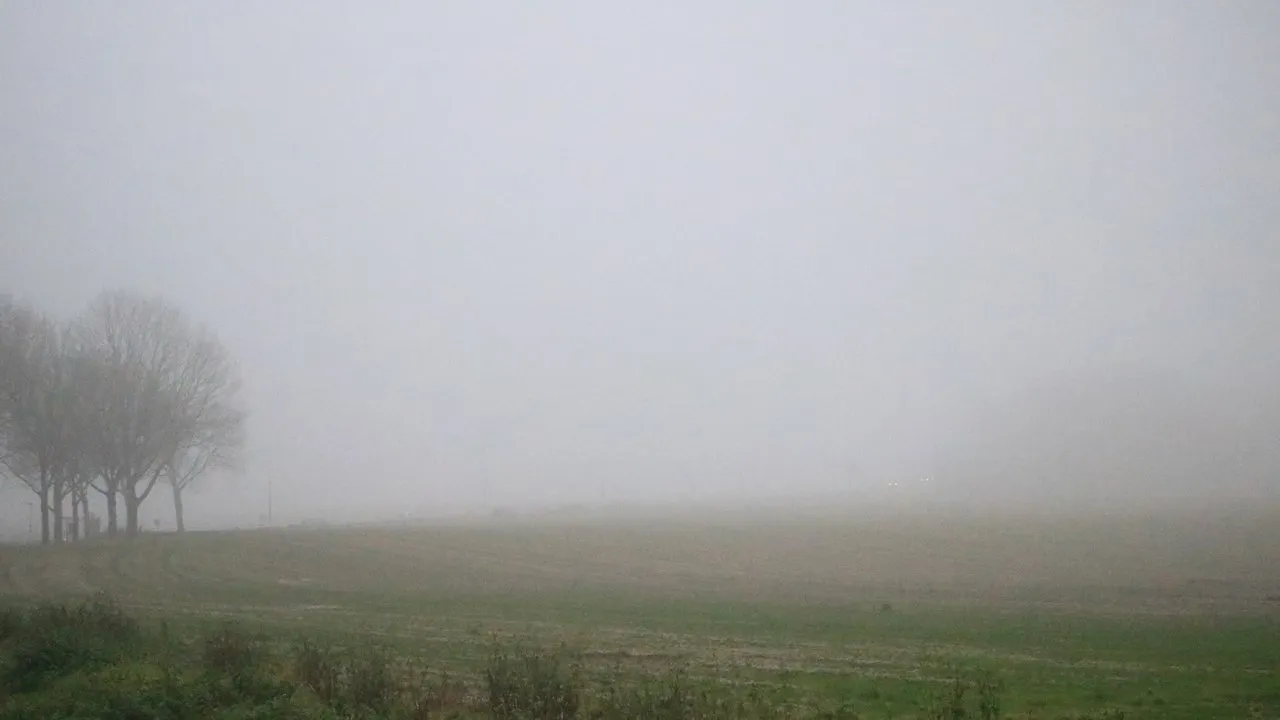 mist oudjaarsdag 2019 wintrakerberg munstergeleen