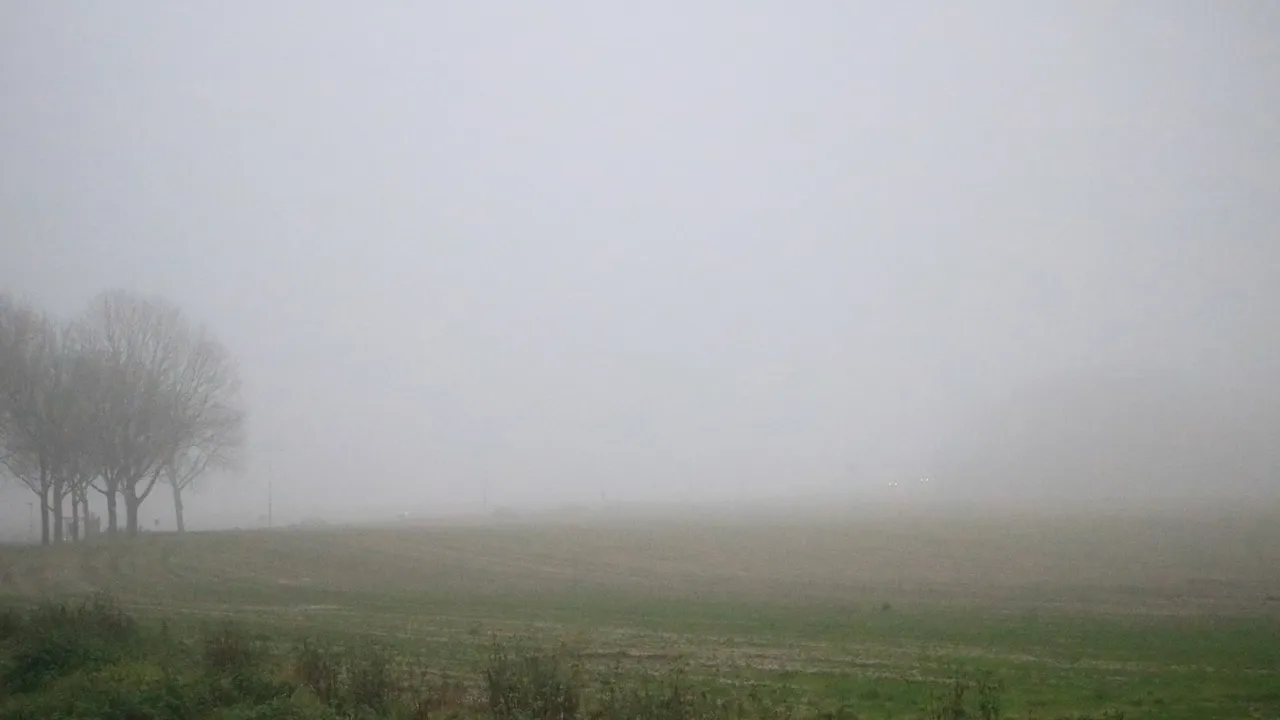 mist oudjaarsdag 2019 wintrakerberg munstergeleen