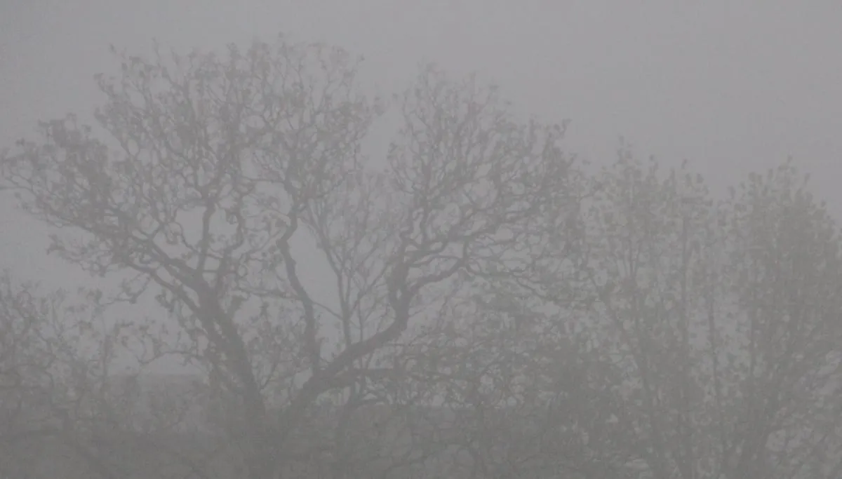 mist sittard geleen 3 april 2017