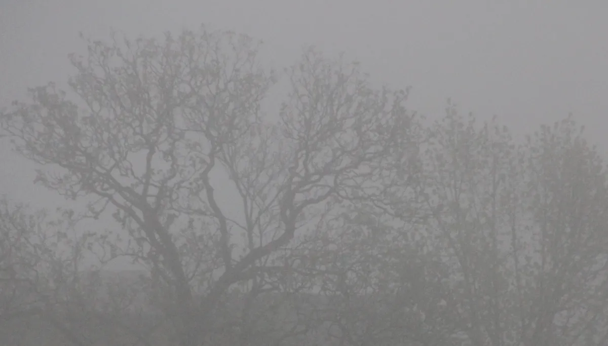 mist sittard geleen 3 april 2017