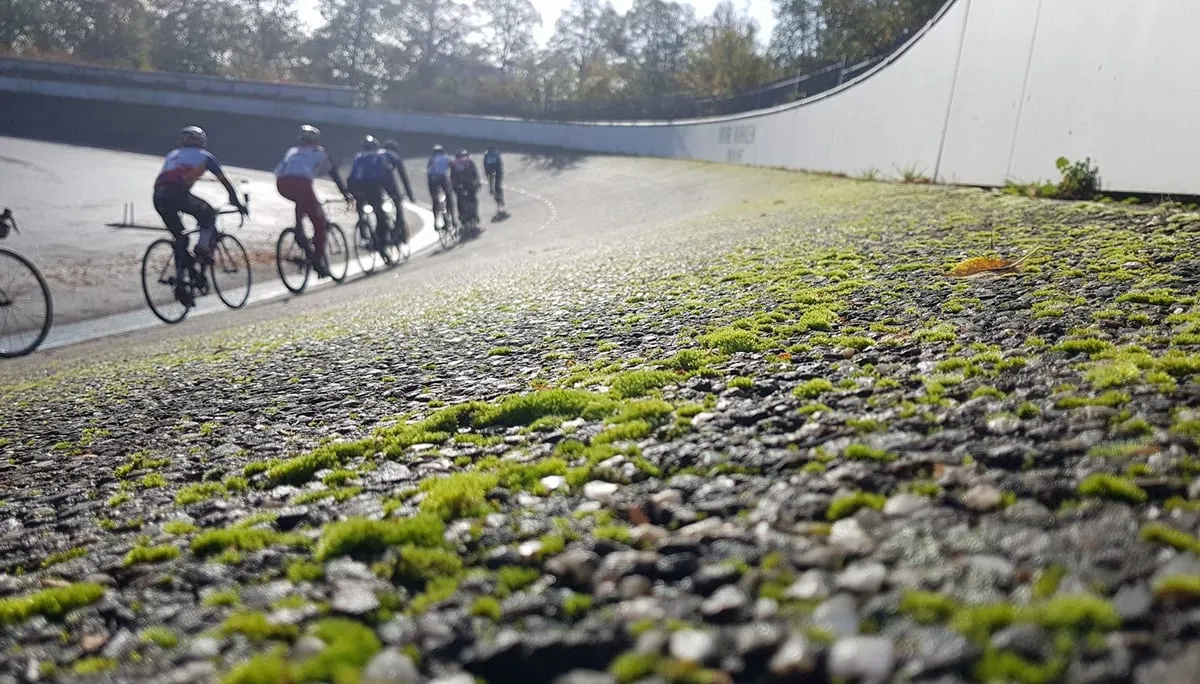 mosgroei op wielerbaan glanerbrook