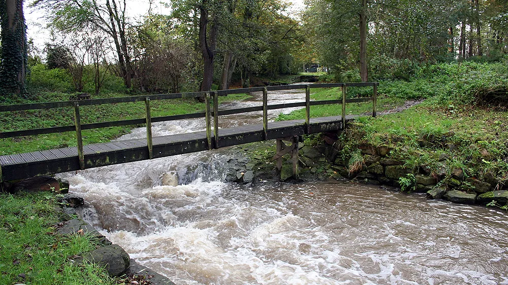 n5ox1n15y94az50h3ip8ci2ez beek bij overhoven na een dag regen 22 oktober 2014 tom bloem 16