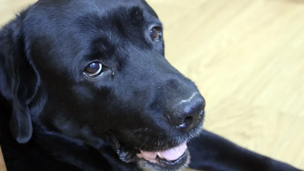 n842ez1qb0q0pd3ydikv03s7o bodie3