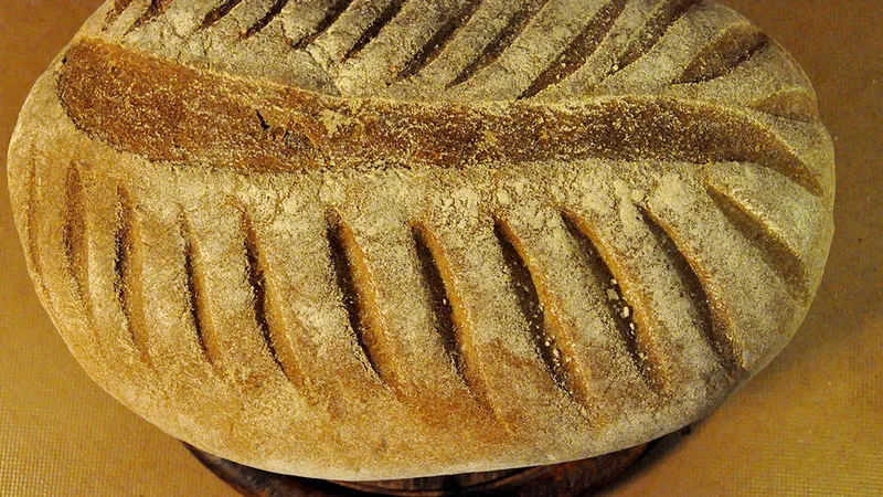 n971sszq53f1dsu49zpbgy8r1 broodfonds