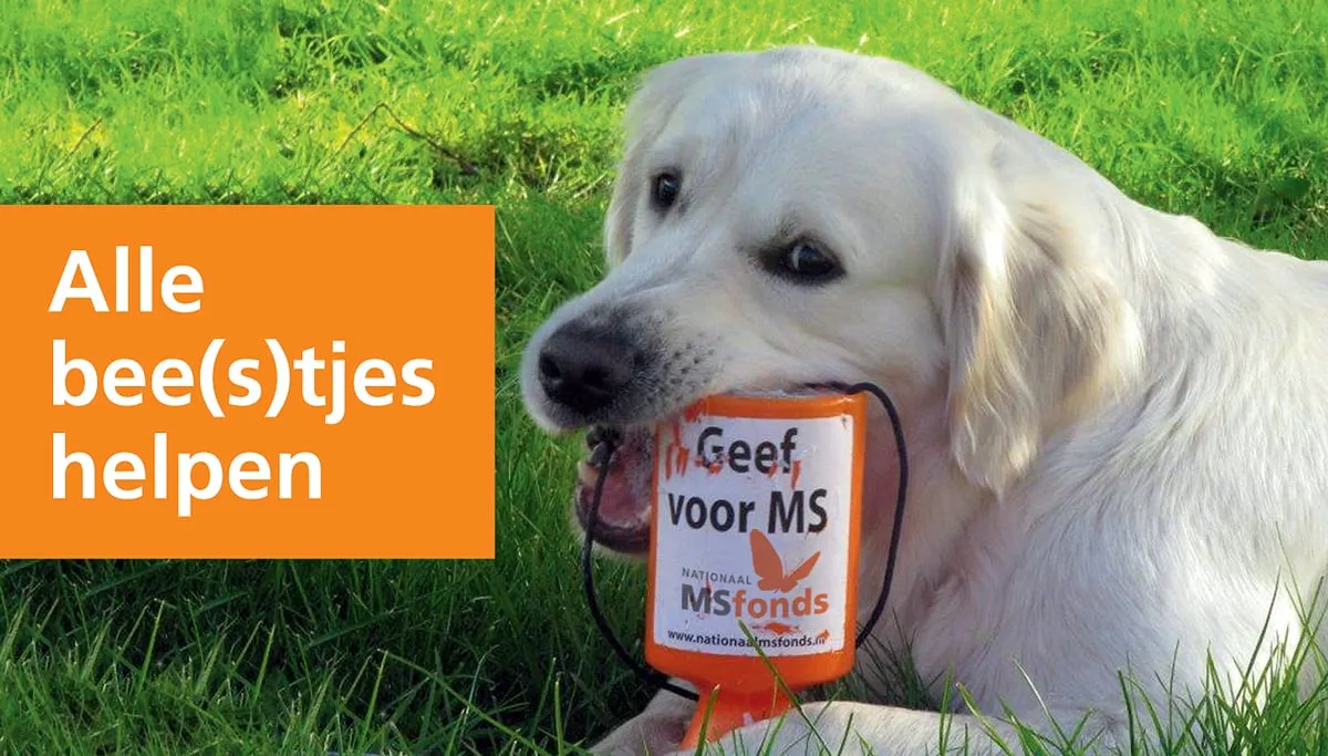 nationaal ms fonds