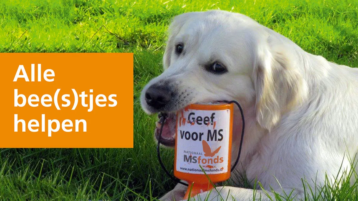 nationaal ms fonds collecte