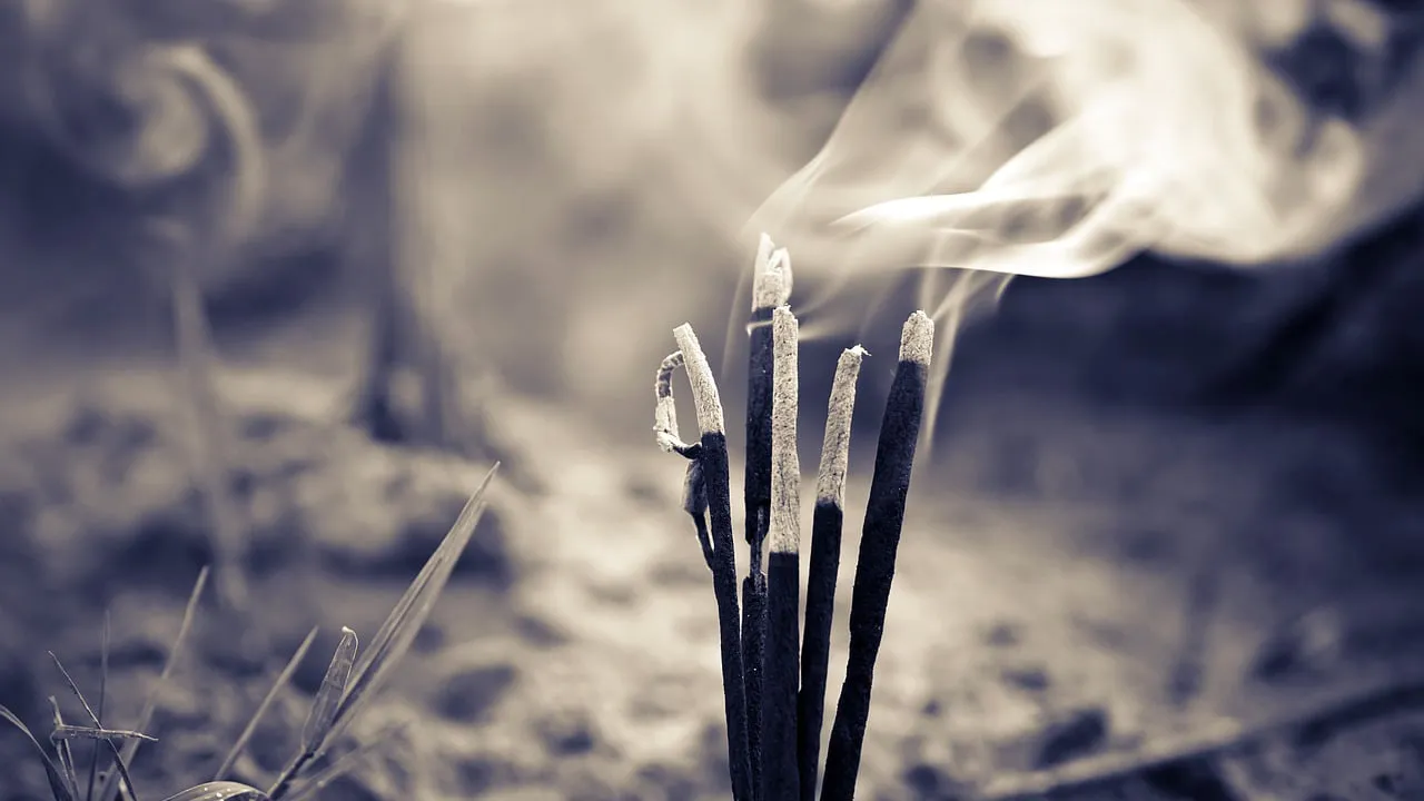 natuurbrand cc0 devanath via pixabay